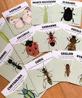 Cartes illustrées sur les insectes avec des mouvements associés pour développer la motricité globale. 